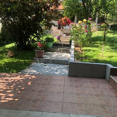 Tanovic Sarajewo